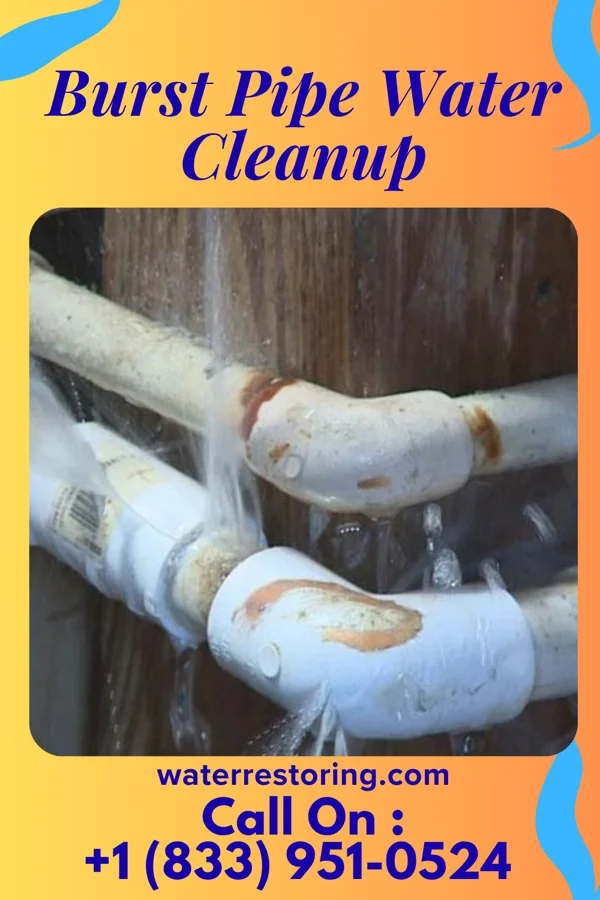 Burst Pipe Water Cleanup in Cherry Valley, IL